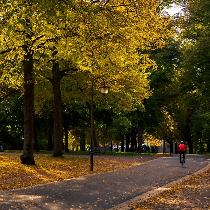 Groningen Park Greenwheels locatie Groningen